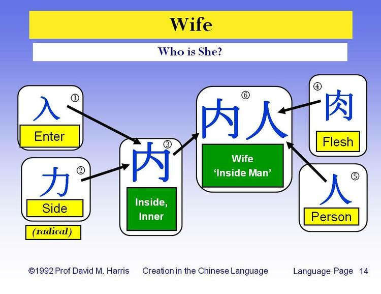 Wife - Who is She?